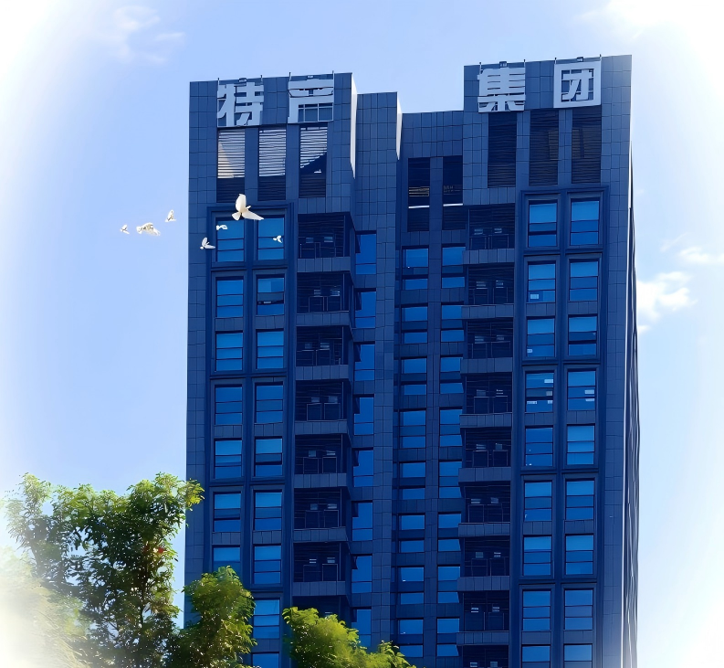 企業(yè)簡(jiǎn)介 企業(yè)簡(jiǎn)介
